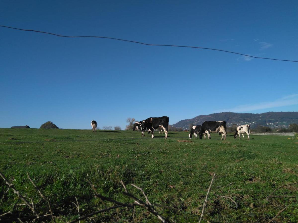 Pensjonat Casa Pepin - Sagasta Rural Oviedo Zewnętrze zdjęcie