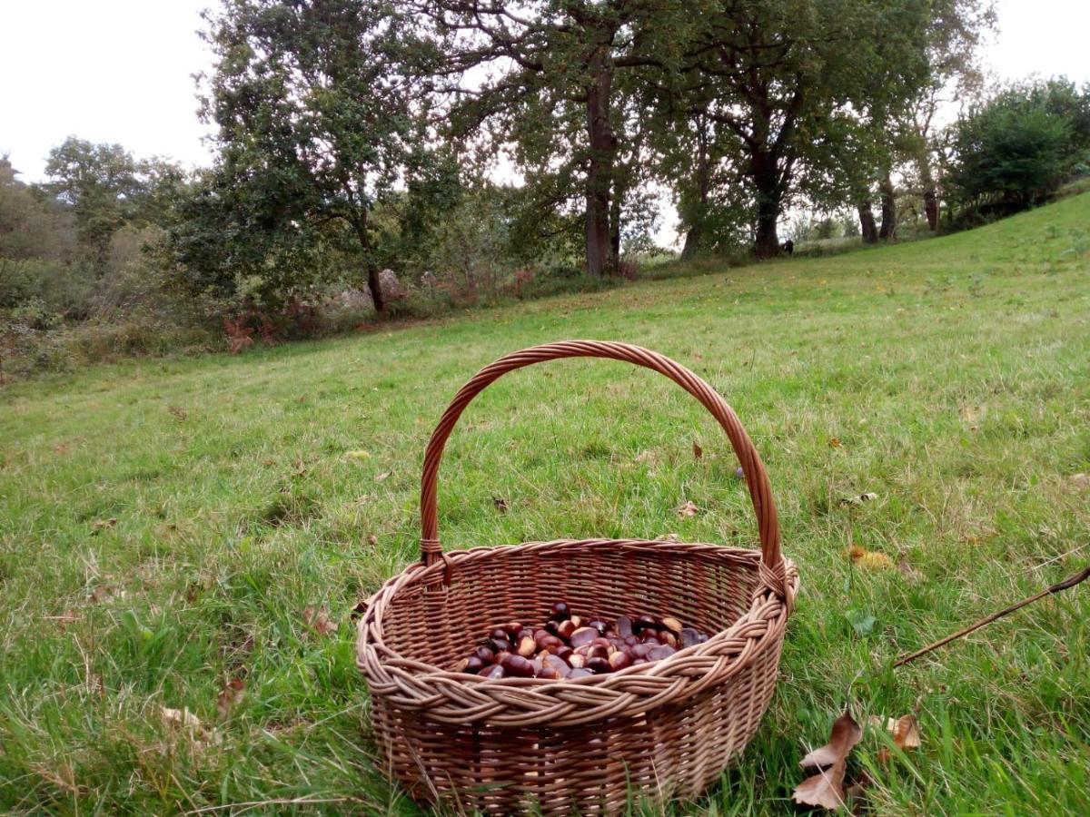 Pensjonat Casa Pepin - Sagasta Rural Oviedo Zewnętrze zdjęcie