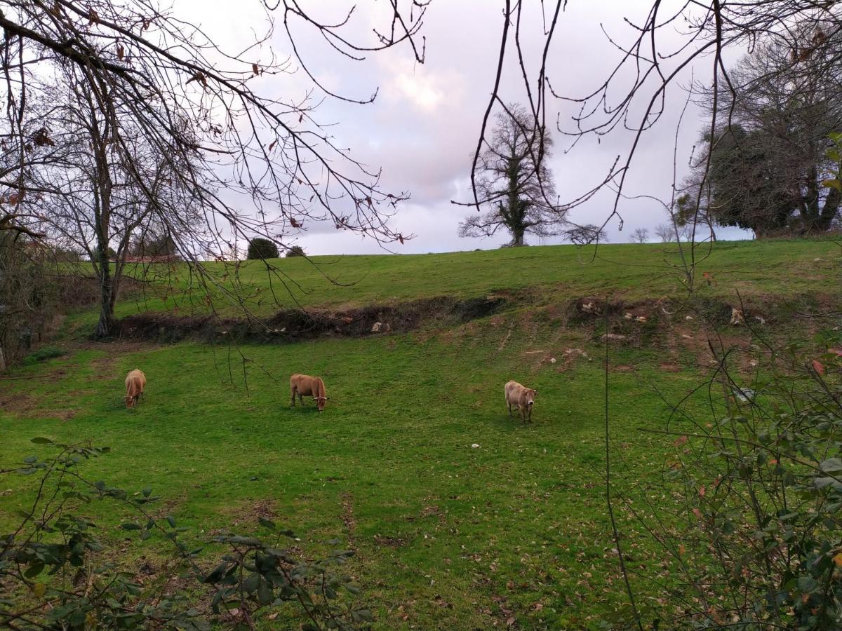 Pensjonat Casa Pepin - Sagasta Rural Oviedo Zewnętrze zdjęcie