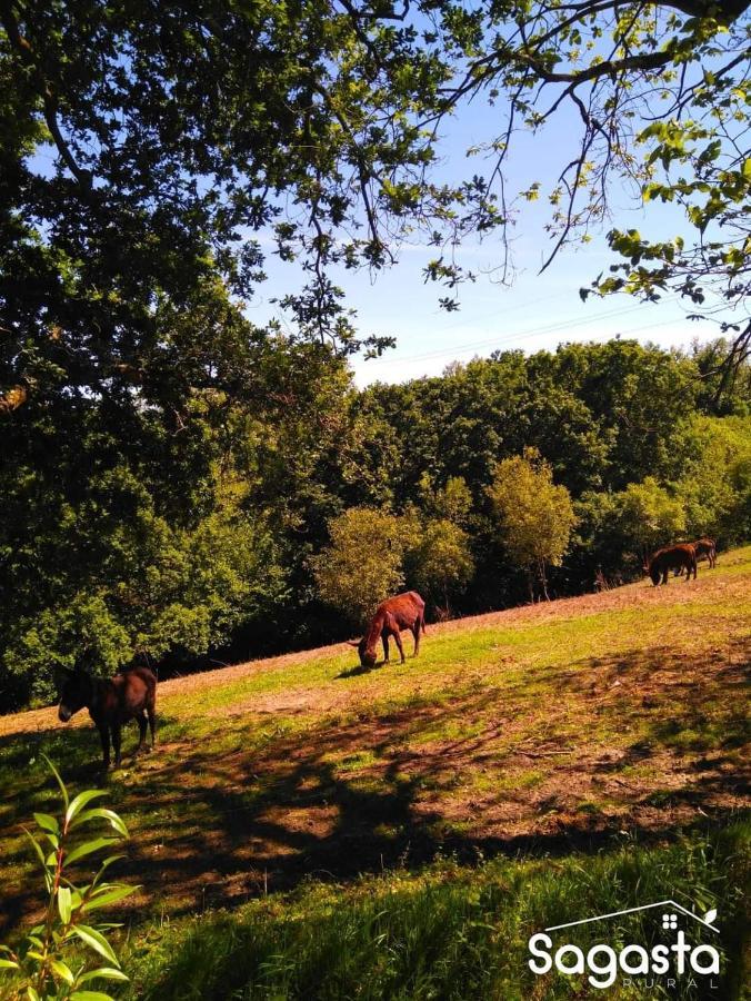 Pensjonat Casa Pepin - Sagasta Rural Oviedo Zewnętrze zdjęcie
