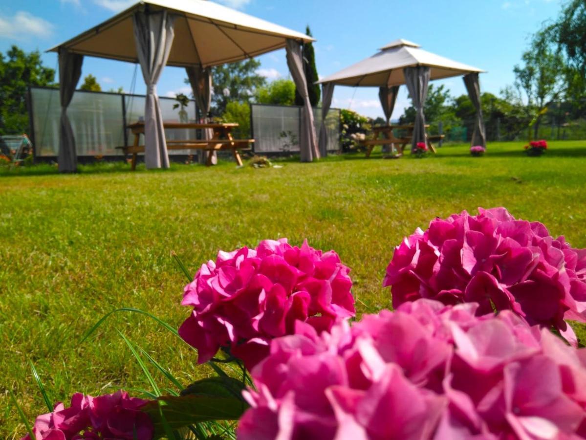 Pensjonat Casa Pepin - Sagasta Rural Oviedo Zewnętrze zdjęcie